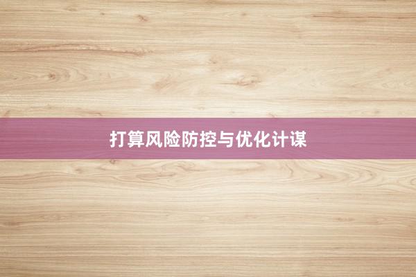 打算风险防控与优化计谋