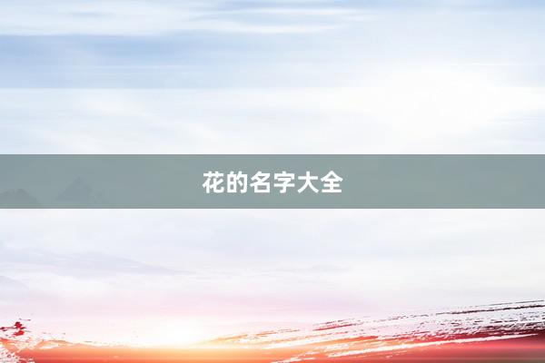 花的名字大全