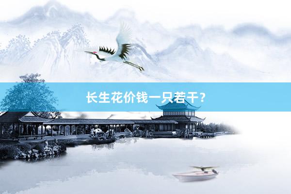 长生花价钱一只若干？
