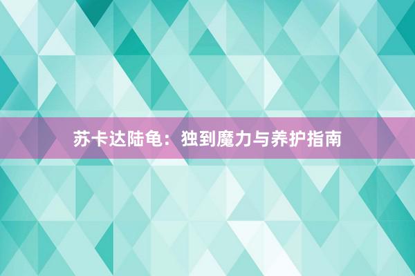 苏卡达陆龟：独到魔力与养护指南